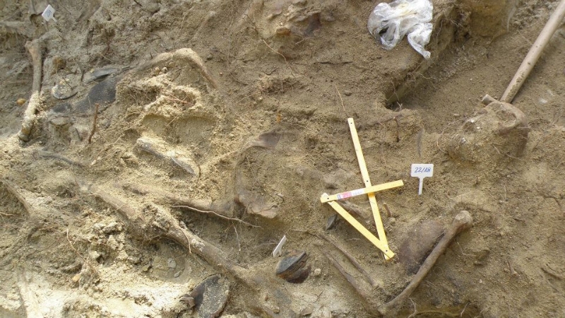 Zdjęcie z prac archeologicznych